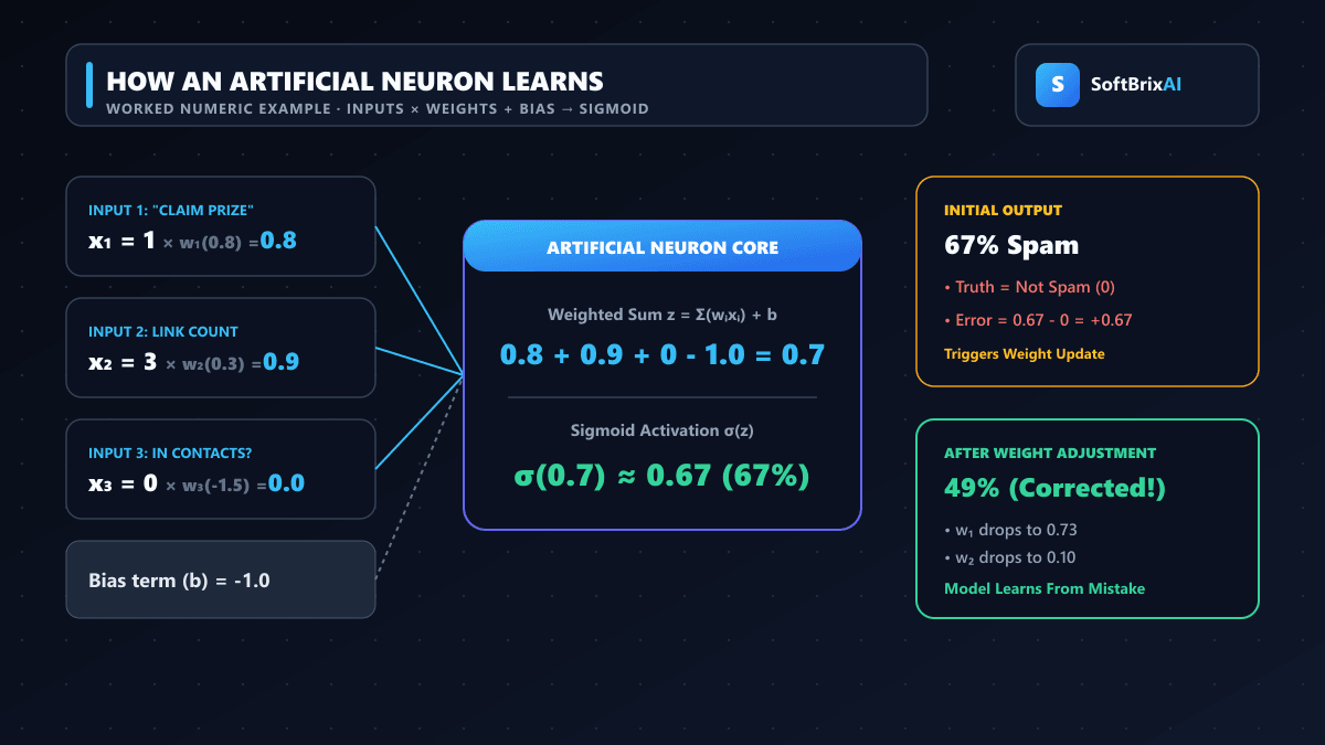 Worked mathematical example of an artificial neuron learning to detect spam showing inputs, weights, bias, summation, sigmoid activation, and error gradient adjustment with SoftBrixAI branding