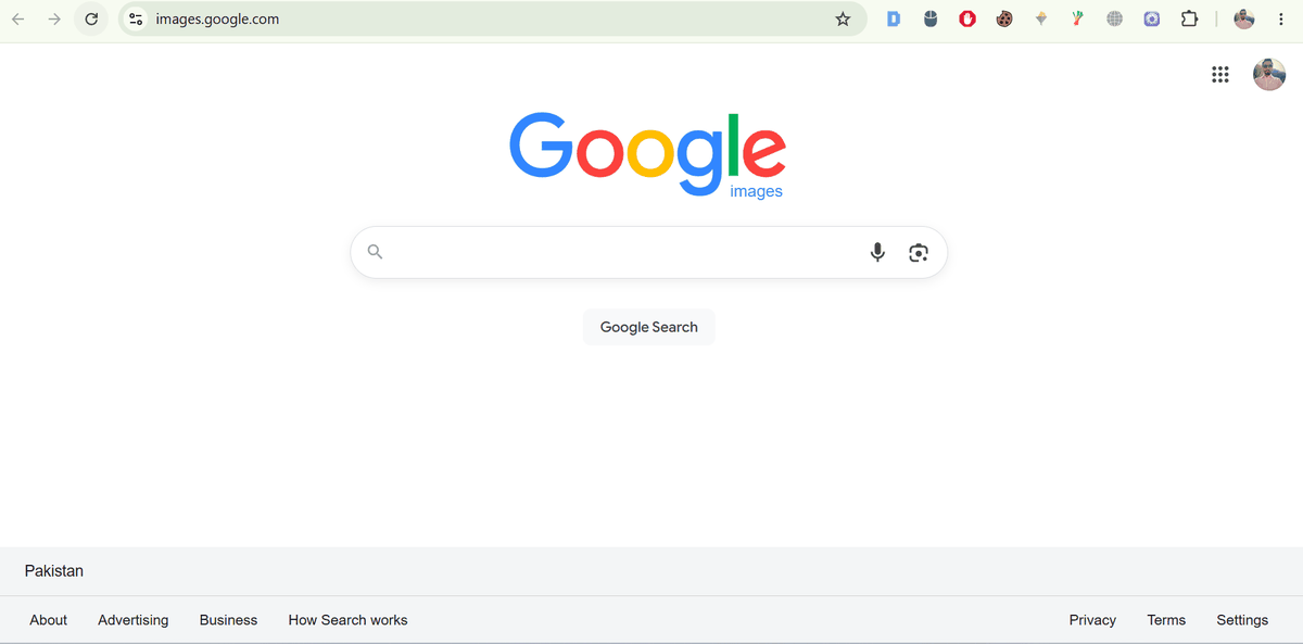 Google Images reverse image search homepage with the camera icon in the search box for uploading a photo