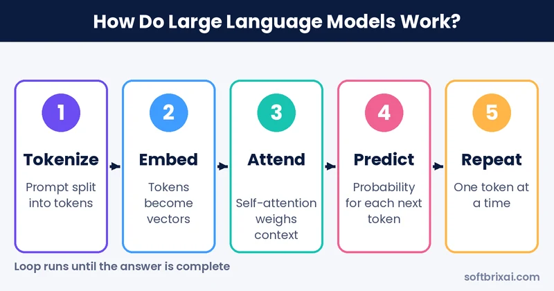 How do large language models work: tokenize, embed, attend, predict and repeat