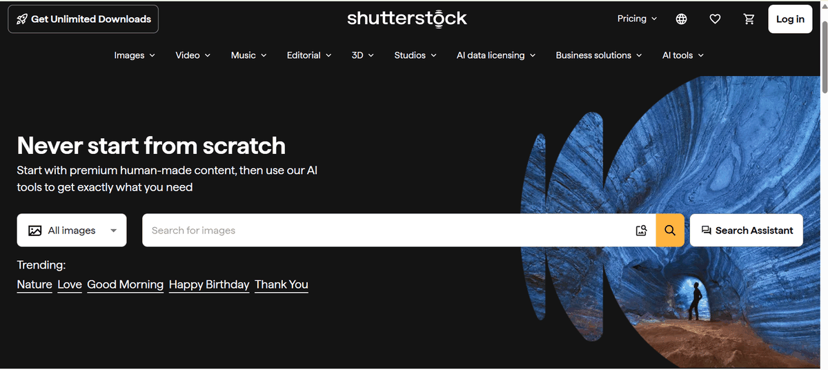 Shutterstock image search with the reverse image search icon for finding visually similar licensable stock photos